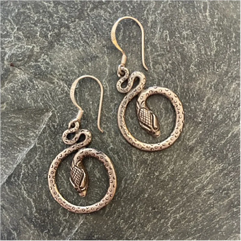 Silver Serpent Earrings