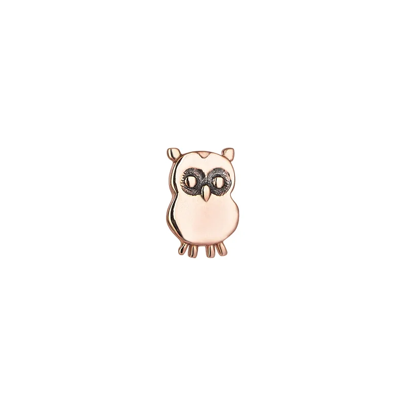 Personalized Engraved Jewelry For Meaningful Gifts Owl Stud Earring